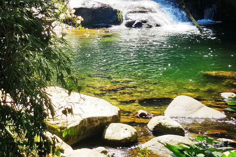 Paraty: 4x4 tour with a visit to a cachaça distillery and optional lunch Paraty: 4x4 Tour with Visit to a Cachaça Distillery and Optional Lunch