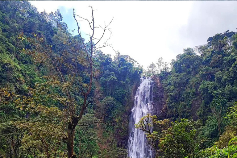 Excursion d&#039;une journée aux chutes d&#039;eau de Materuni et à la ferme de café