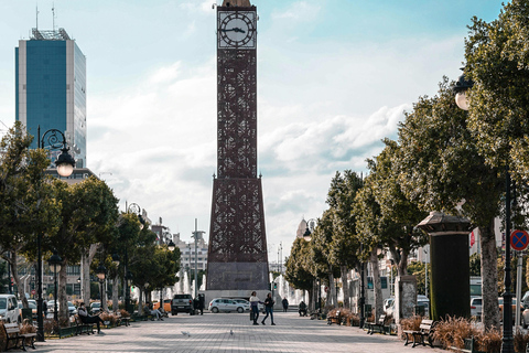Visit Tunis: Sidi Bou Said, Carthage & Medina Tunis : Sidi Bou Said & Carthage & Medina guided tour