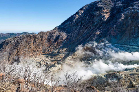 Mt.Fuji:Hakone Cruise, Ropeway&Oshino Hakkai Full-day Tour 8:30 AM pick up at Shinjuku station