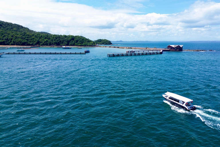 Salvador: Ilha dos Frades Speedboat Tour with Guide