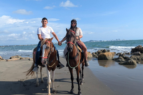 Horseback riding in Cartagena on the shores of the Caribbean Sea