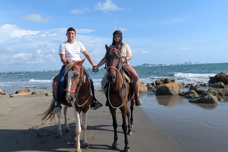 Horseback riding in Cartagena on the shores of the Caribbean Sea