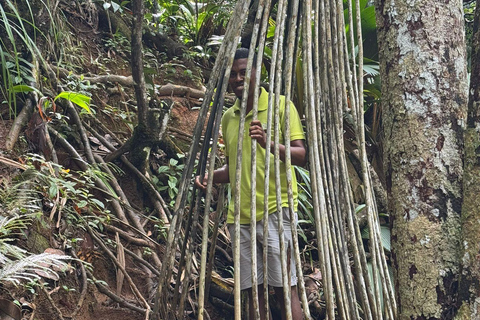 Copolia Trail (Private Hiking Activity) - All Inclusive