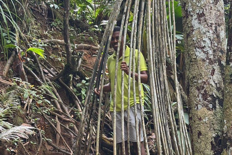 Copolia Trail (Private Hiking Activity) - All Inclusive