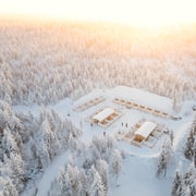 Rovaniemi: Paseo en trineo tirado por huskies de 10 km para iniciados