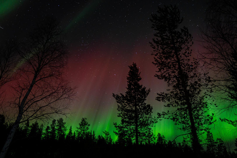 Rovaniemi: Aurora Hunting with 100% Refund. Small Group. Rovaniemi: Aurora Treasure Expedition & Refund (Standard)