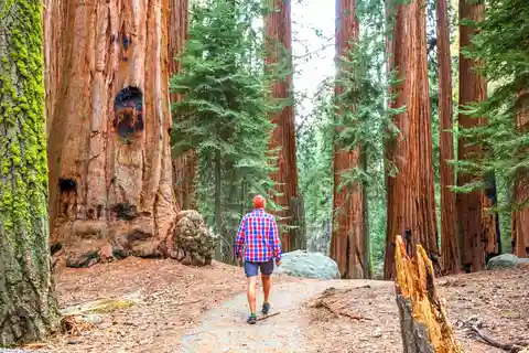 São Francisco: Alcatraz, Muir Woods e Sausalito - Excursão de 2 dias