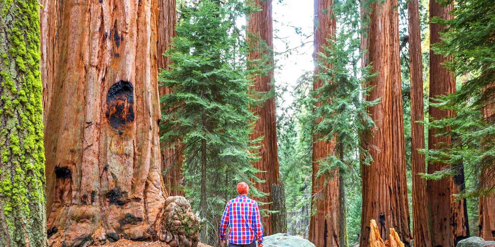 San Francisco: Alcatraz, Muir Woods & Sausalito 2-Day Tour - tour image