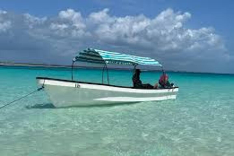 ZANZIBAR: Mnemba Island Dolphins & Maasai Village Experience