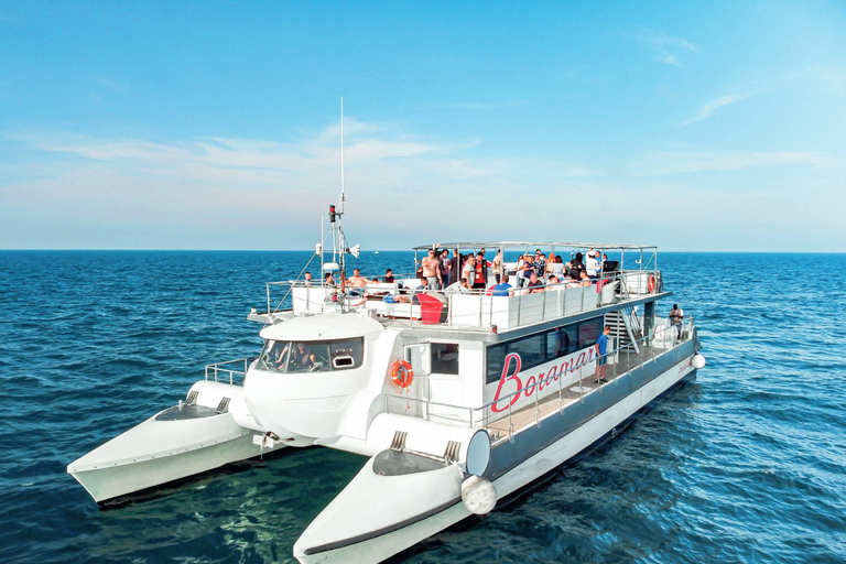 Gita in catamarano e visita ai vivai di Clóchina con degustazione