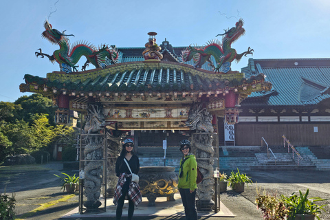 La città di Fuji: Tour panoramico in E-Bike del Monte Fuji