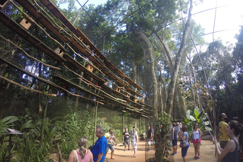 Cachoeiras, Parque das Aves e Macuco Safari: Experiência completa