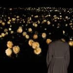 Osaka: biglietto d'ingresso al giardino botanico teamLab