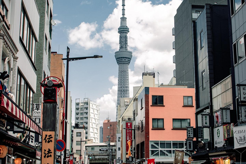 Tokyo Private & Customizable Tour with English Driver Guide