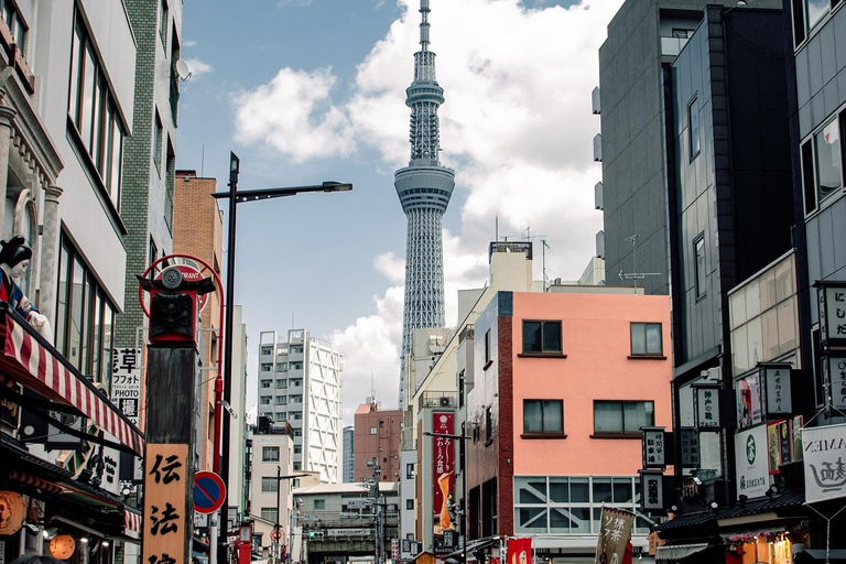 Tokyo Private & Customizable Tour with English Driver Guide