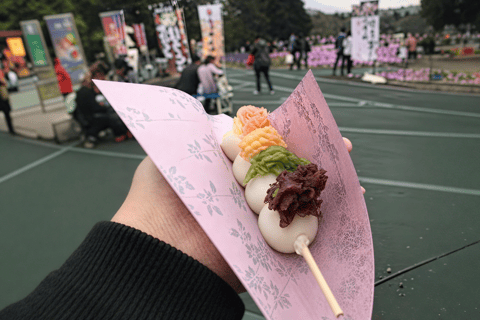 Tokyo:Cherry Blossom Mt Fuji & Shibazakura Festival Day Trip 07:30 Pick&Drop from Hotel/BnB