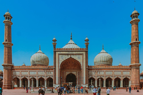 De Délhi: Tour particular de 2 dias de luxo pelo Triângulo DouradoTour particular sem hotel