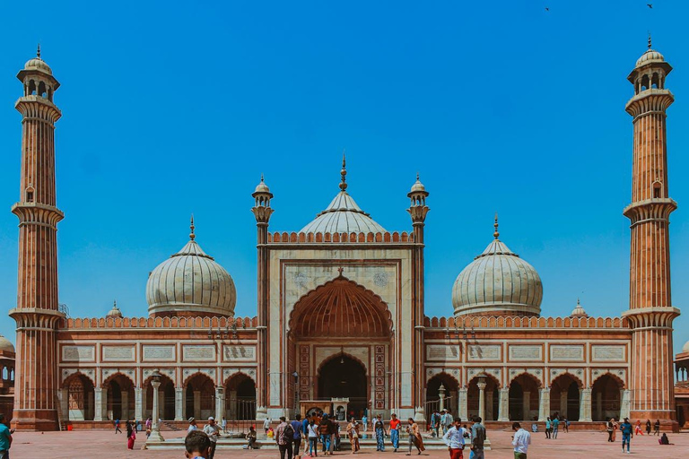 Delhi: tour privato dei templi e dei siti spirituali in 5 oreTour privato senza biglietti d&#039;ingresso