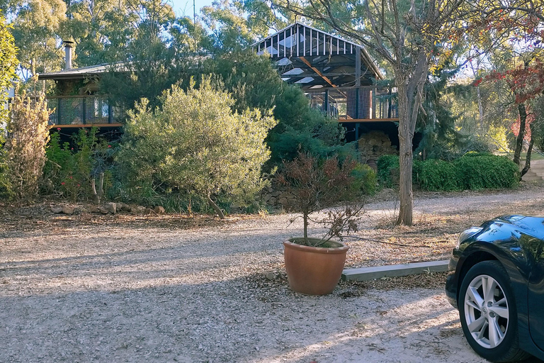 Adelaide: Tour di degustazione dei vini della Clare Valley con pranzo