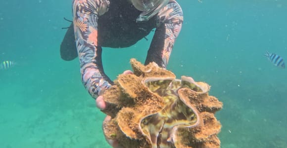 Bintan: Snorkeling Tour & Hotel Pickup