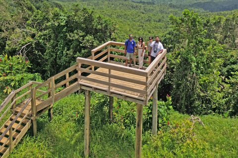 Grenada: Rivier Tubing en Grand Etang Meer Tour
