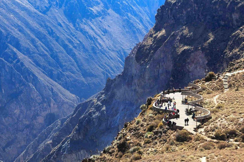 Ab Arequipa: Tagestour zum Colca Canyon mit Frühstück