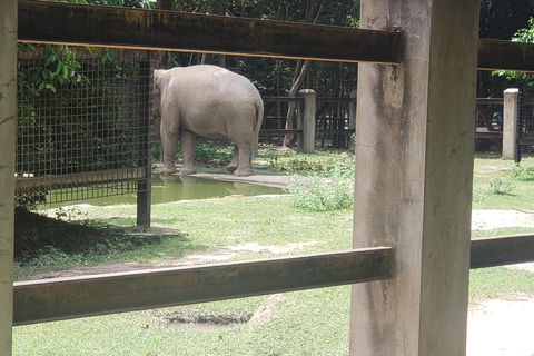 Chi so mountain _ Ta moa zoo_ Bati temple Tour