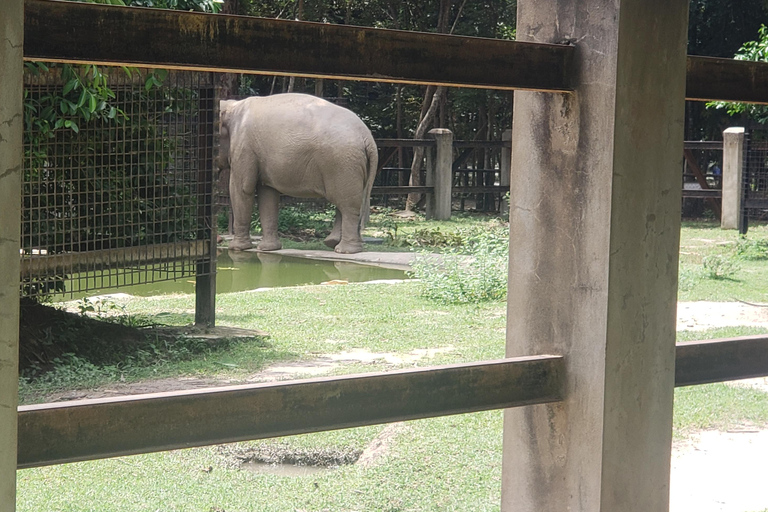 Chi so mountain _ Ta moa zoo_ Bati temple Tour