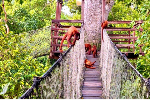 Puerto Maldonado: Amazon Adventure with Kayak and Zipline