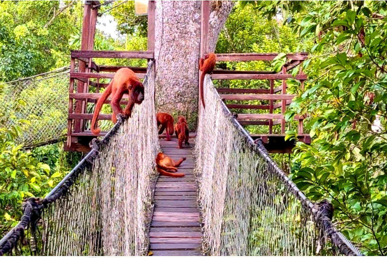 Puerto Maldonado: Amazon Adventure with Kayak and Zipline