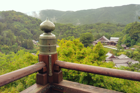 Nara: Entdecke die riesige Kannon-Statue und den Tempel am Steilhang von HasederaNara: Entdecke die riesige Kannon-Statue und den Tempel am Steilhang in Hasedera