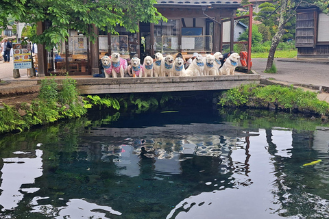 Mount Fuji Full-Day Private Tour from Tokyo (Customizable) Luxury Toyota Crown or SAI