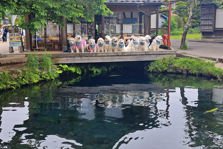 Mount Fuji Full-Day Private Tour from Tokyo (Customizable) Luxury Toyota Crown or SAI