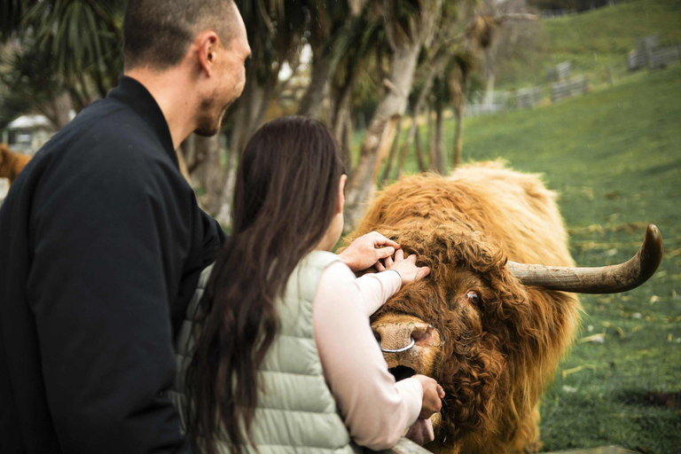 Queenstown: Walter Peak Farm Tour and Lake Cruise