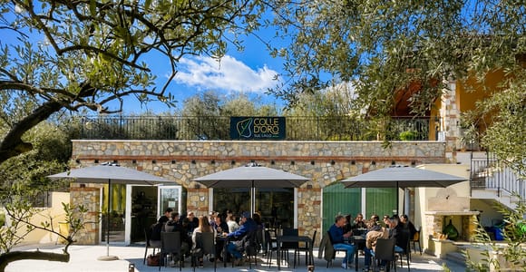 Lake Garda: Gourmet Food Tasting with Olive Oil Pairing