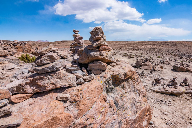 Arequipa: Excursión Clásica de 2 días al Cañón del ColcaClásico de 2 días Cañón del Colca con traslado a Puno