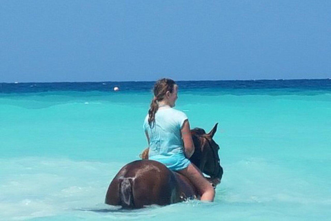Zanzibar: Horseback Riding on the Beach with Guide