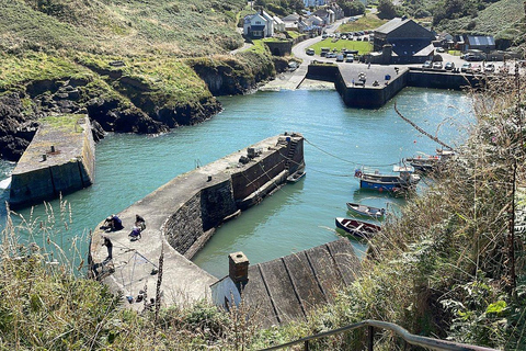 Cardiff: Pembrokeshire Coast & St. Davids Private Voyage