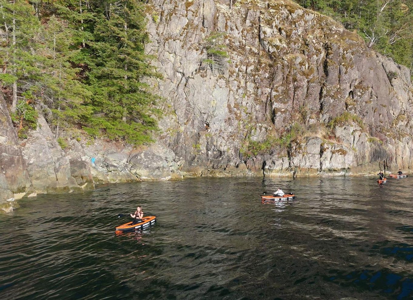 Vancouver: Snorkling, sæler, kajak, naturskøn bådtur