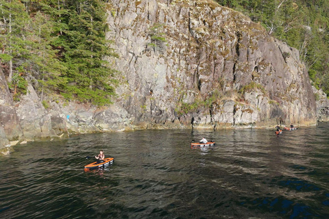 Snorkel Focas Remando Vida Salvaje Tour en barco en Vancouver