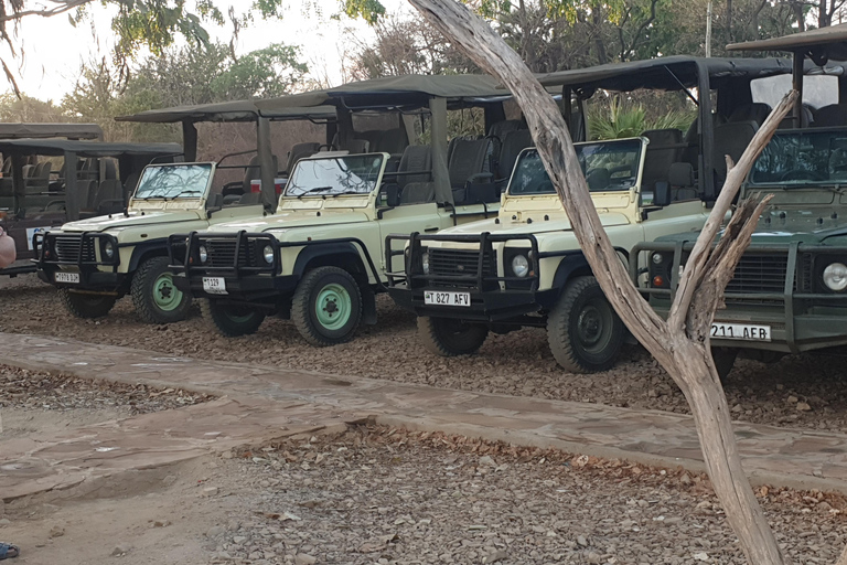 3 DAYS NYERERE NATIONAL PARK FROM ZANZIBAR BY FLIGHT.