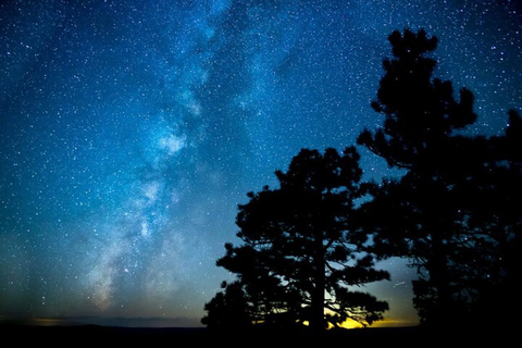 Las Vegas: Grand Canyon, Antelope, Horseshoe, Lake Powell Shared Tour for Antelope X (One Day Grand Circle Tour)