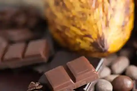From Guatape: San Rafael Cocoa Tour