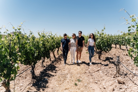 From Málaga: Ronda & Winery Experience with Wine Tasting English Tour