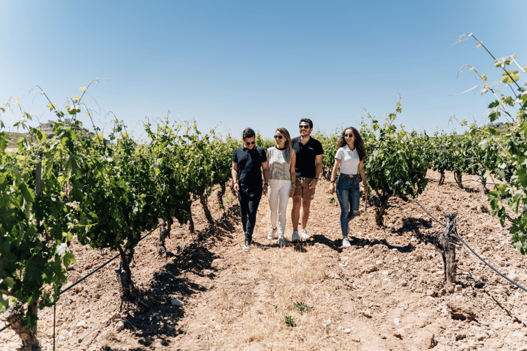 Desde Málaga: Ronda y Experiencia en Bodegas con Cata de VinosTour por España