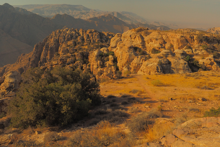 Von Aqaba aus: Dana Nature Reserve Private Tagestour mit Mittagessen