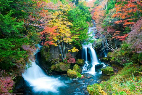 Tour privato di un giorno a Nikko da Tokyo: natura e patrimonio