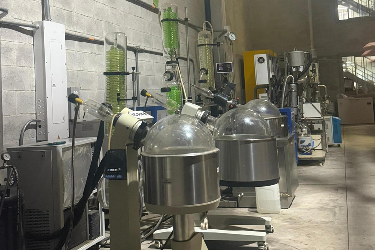 Medellín: Medical Cannabis Industry Tour with Lab & Lunch