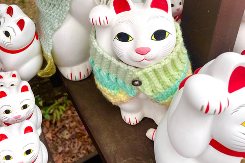 Tokyo: Gotokuji Cat Temple, Shinjuku Cat Cafe & 3D Cat Tour